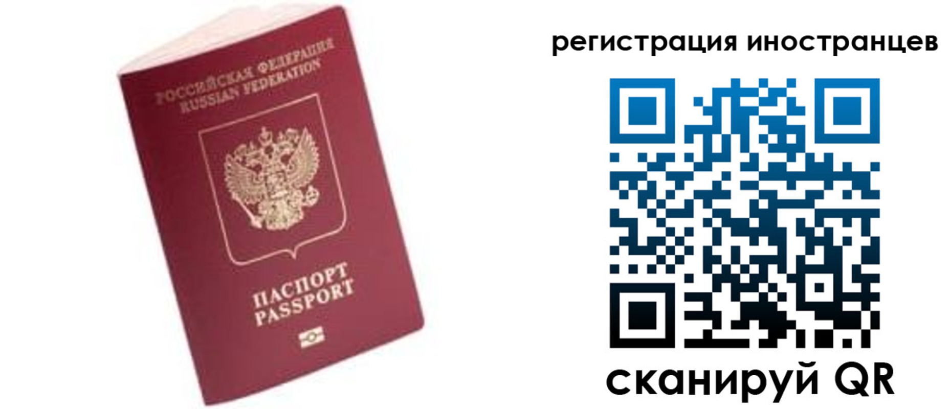 прописка гарантия в Луге